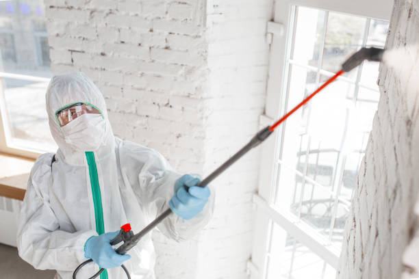 Best Mold Prevention Services  in Elfers, FL