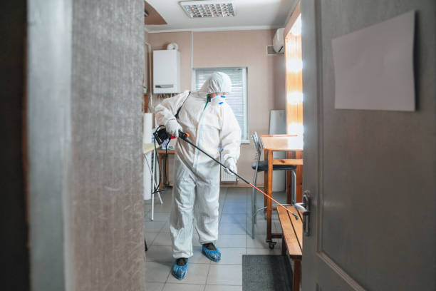 Best Black Mold Removal  in Elfers, FL