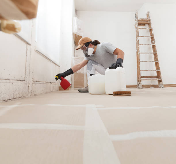 Best Forensic Mold Investigation  in Elfers, FL